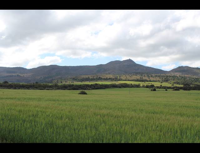 172HA FARM SOLD IN BREDASDORP RURAL